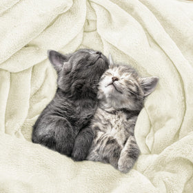 Utopia Bedding fleece blanket on sofa creates cozy movie-night ambiance.
