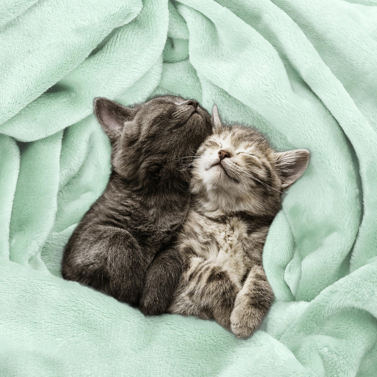Utopia Bedding fleece blanket two-sided pile close-up emphasizes premium warmth and even texture.