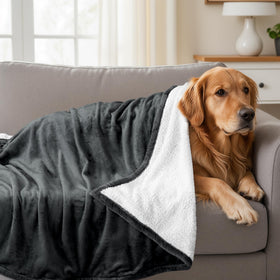 Utopia Bedding Sherpa blanket draped over a sofa for cozy movie nights.