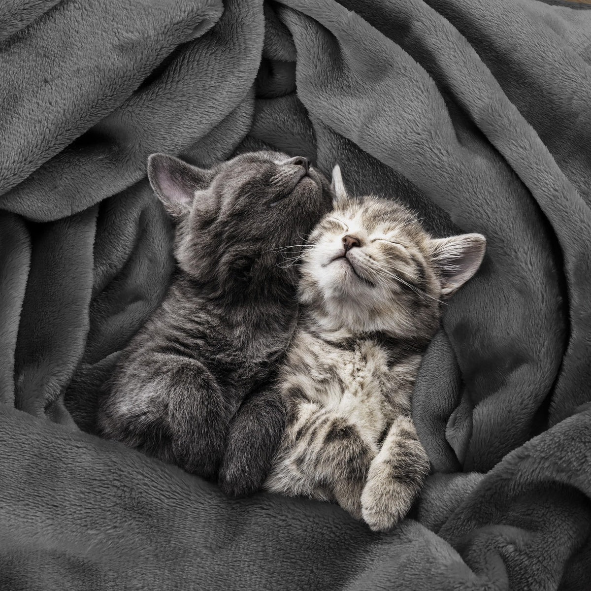 Utopia Bedding two-sided pile blanket displays durable construction with a neat 1 inch hem.