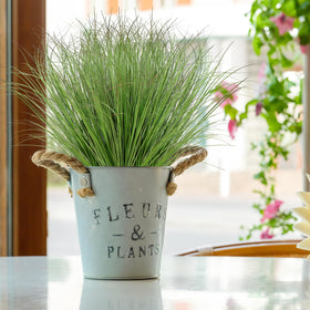 UXORSN Outdoor indoor decor plants — perfect for windowsills and balconies.
