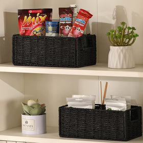 Vagusicc portable bin with integrated handles for easy transport.