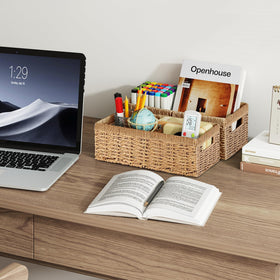 Vagusicc set-of-2 baskets offer coordinated organization.