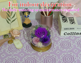 Night ambience featuring Valley of Rain and Forest preserved blooms glowing softly