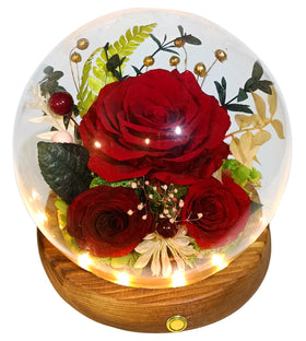 Valley of Rain & Forest dark red rose arrangement under glass dome for lasting indoor decor.