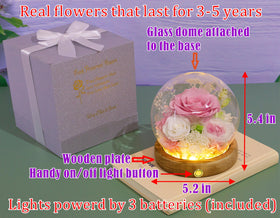 Valley of Rain & Forest gift box with lights enhances gifting with a night glow