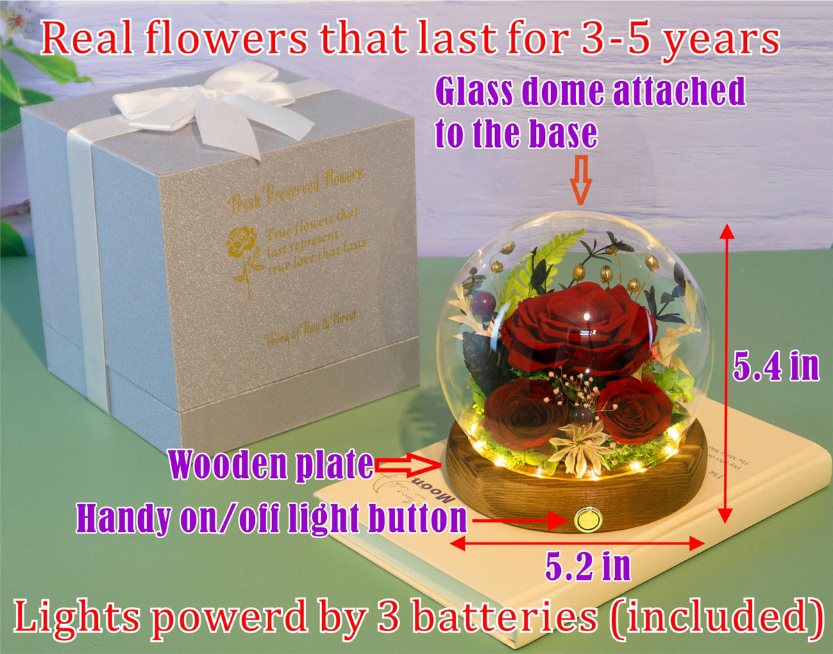 Valley of Rain & Forest gift box with lights enhances evening ambiance at home.