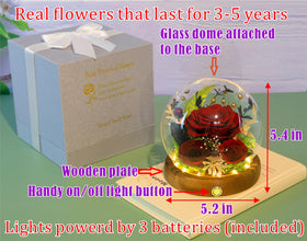 Valley of Rain & Forest gift box with lights enhances evening ambiance at home.