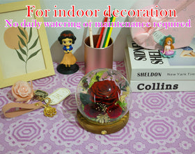 Valley of Rain & Forest preserved flowers detail highlights handcraft quality.