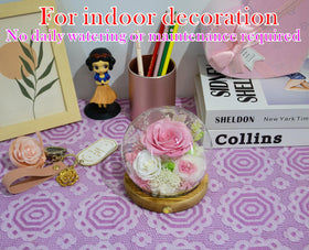 Valley of Rain & Forest natural decor that boosts mood and ambiance