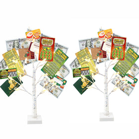 Vanthylit Money Tree 22-inch birch display, ideal for photos and gift presentations.