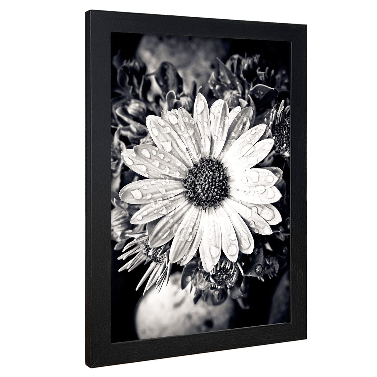 VCK 11x17 frame front is crystal-clear after removing protective film.