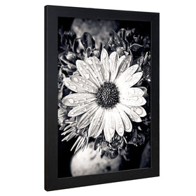 VCK 11x17 frame front is crystal-clear after removing protective film.