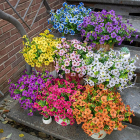 Perfect for mixing with real plants to enhance displays.