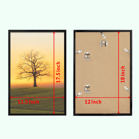 Closeup of Veleclo shatterproof plexiglass insert in 12x18 frame