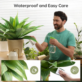 Velener UV-resistant agave duo for outdoor durability in sunlit spaces