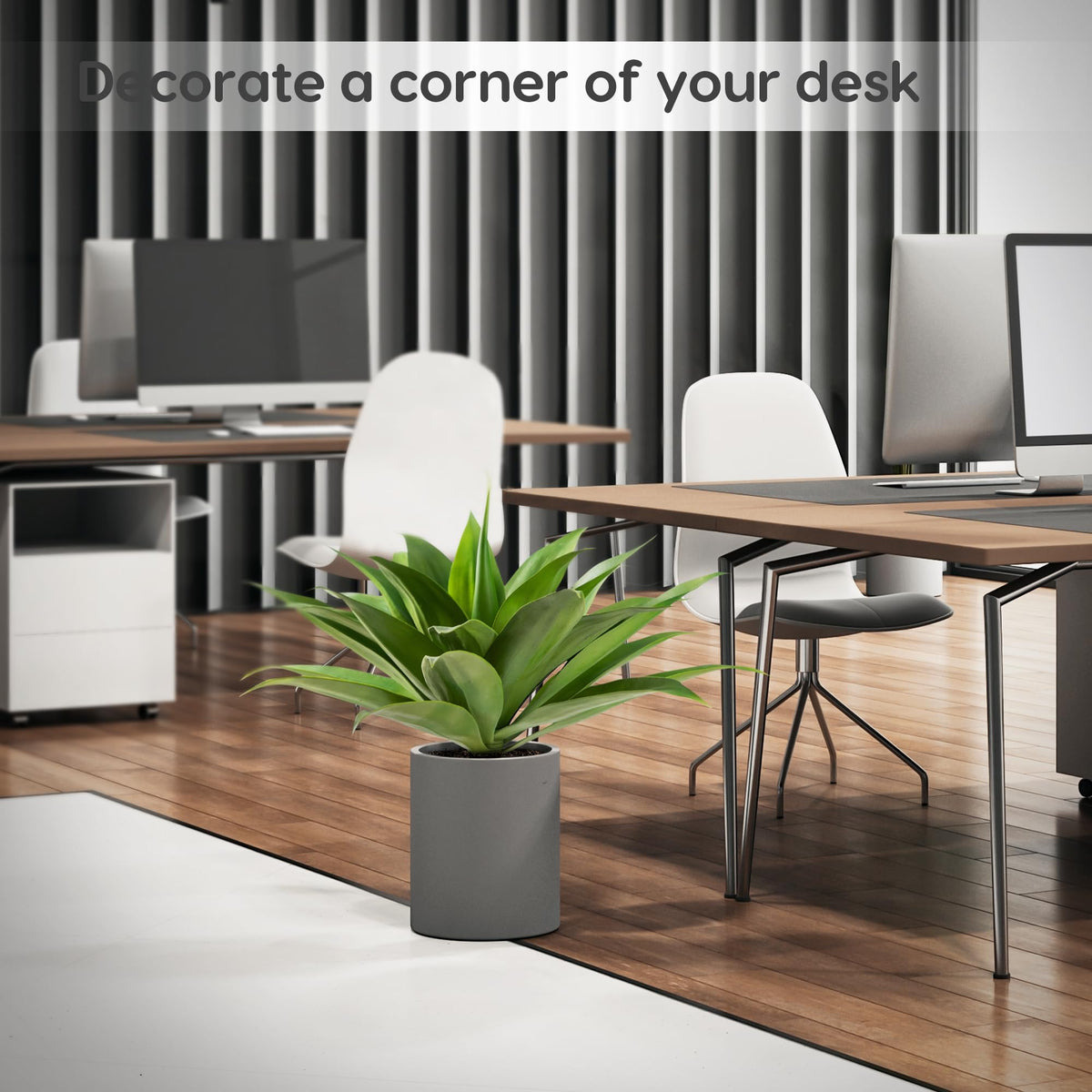 Velener two piece agave collection ships without pots for flexible display