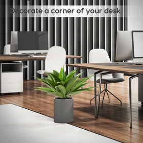 Velener two piece agave collection ships without pots for flexible display