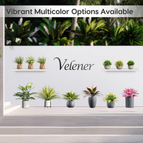 Velener large faux succulents blend with modern decor in an office or living space