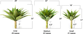 Velener agave plants offer easy setup and reshaping for seasonal arrangements