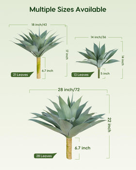 Velener blue agave leaves closeup showcases realistic texture and vibrant color.