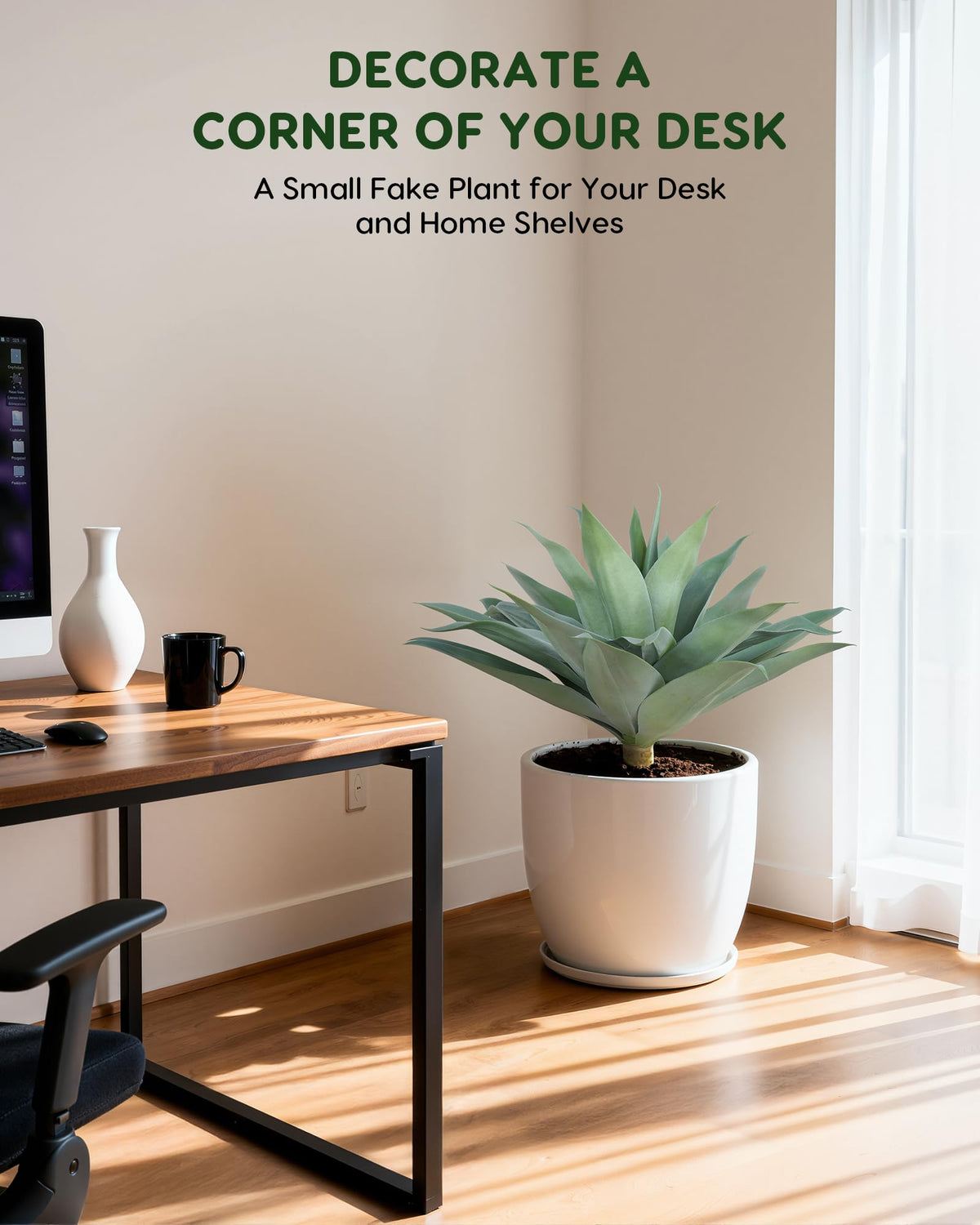 Velener durable, low-maintenance agave plant for busy homes.