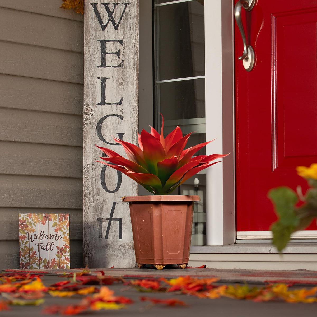 Velener red agave stems create a modern focal point in any room.