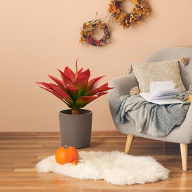 Velener red agave decor boosts seasonal styling without maintenance.