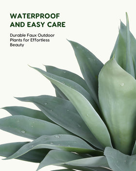 Velener outdoor blue agave garden setup enhances curb appeal with lush greenery.