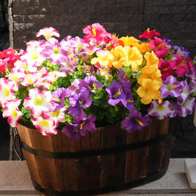 Vemander all-weather fake flowers provide maintenance-free beauty for any season.