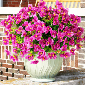 Vemander artificial pink pansies for outdoor use, vibrant 16-bundle display that lasts with minimal upkeep.
