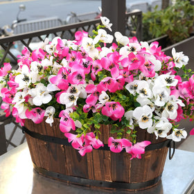 Vemander artificial pansies outdoor white-pink bundle for front porch curb appeal
