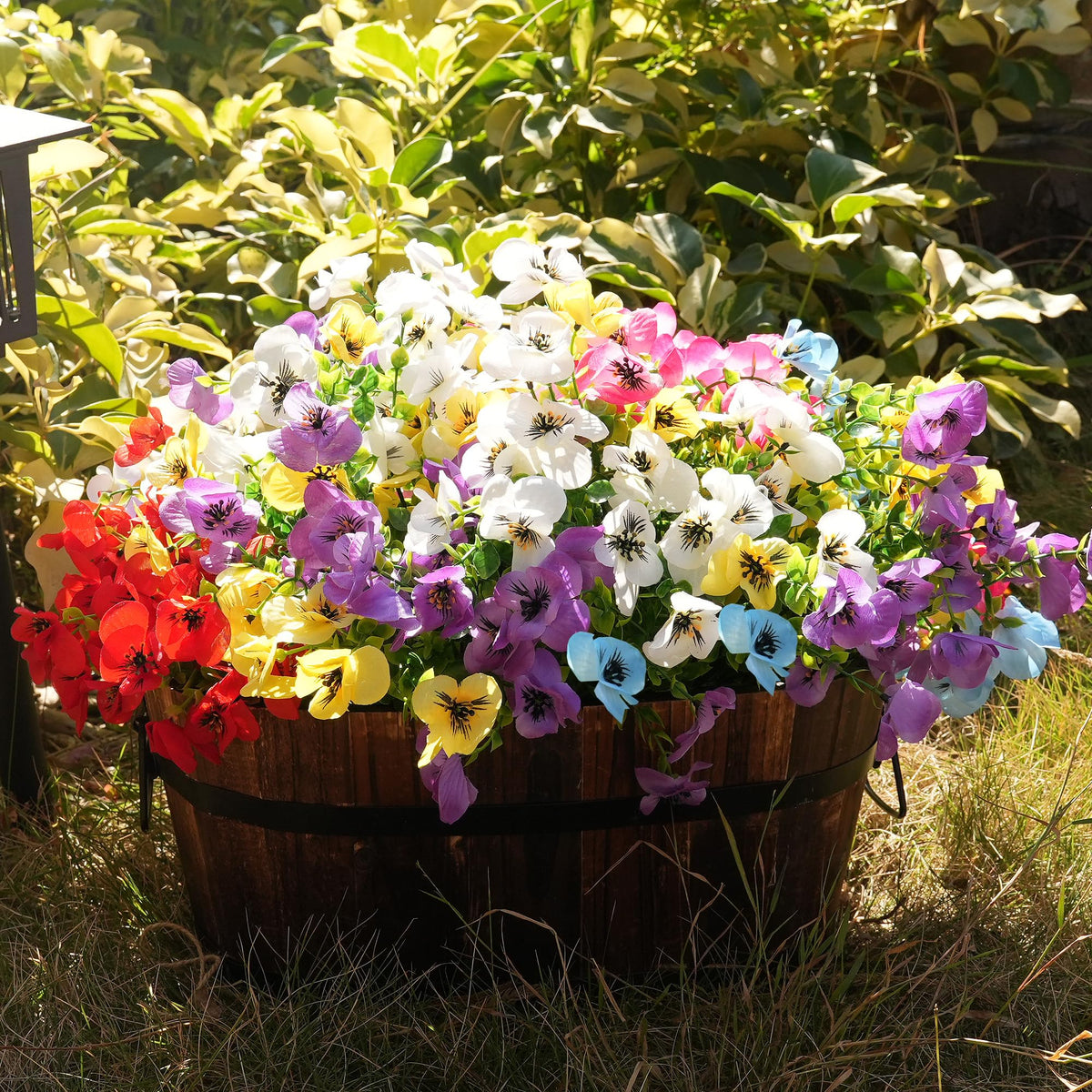 Vemander pansies outdoor white-pink bundle close-up of petals and green stems