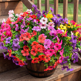 Vemander eucalyptus greenery arrangement on a patio railing adds inviting curb appeal.