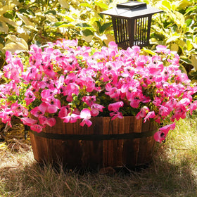 Vemander faux pansies for hanging planters, easy upkeep and lively color.