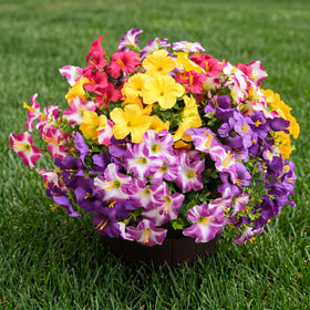 Vemander outdoor artificial flowers 12-bundle packaging for versatile color accents in any space.