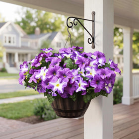 Vemander petunia flowers brighten balconies and porches without maintenance.