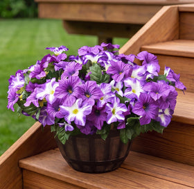 Vemander flowers are ready to place for instant ambiance indoors or outdoors.