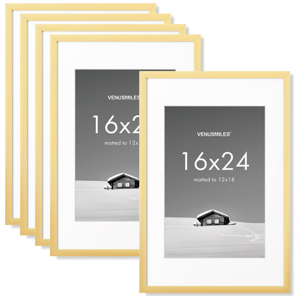 Venusmiles 16x24 gold frame front view with HD polycarbonate for crisp photos
