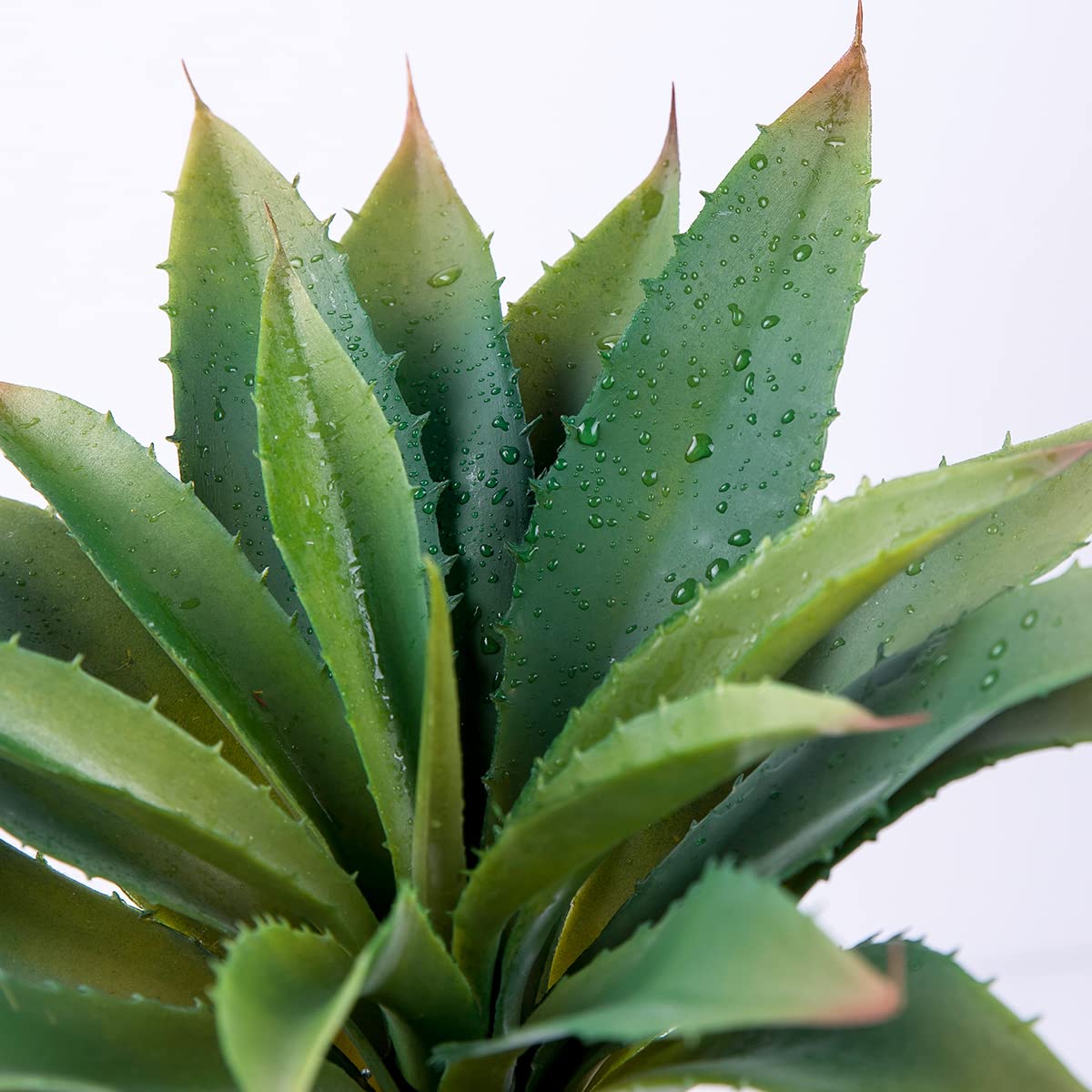 Veryhome 12.5-inch aloe in diverse decorative setup ideas.