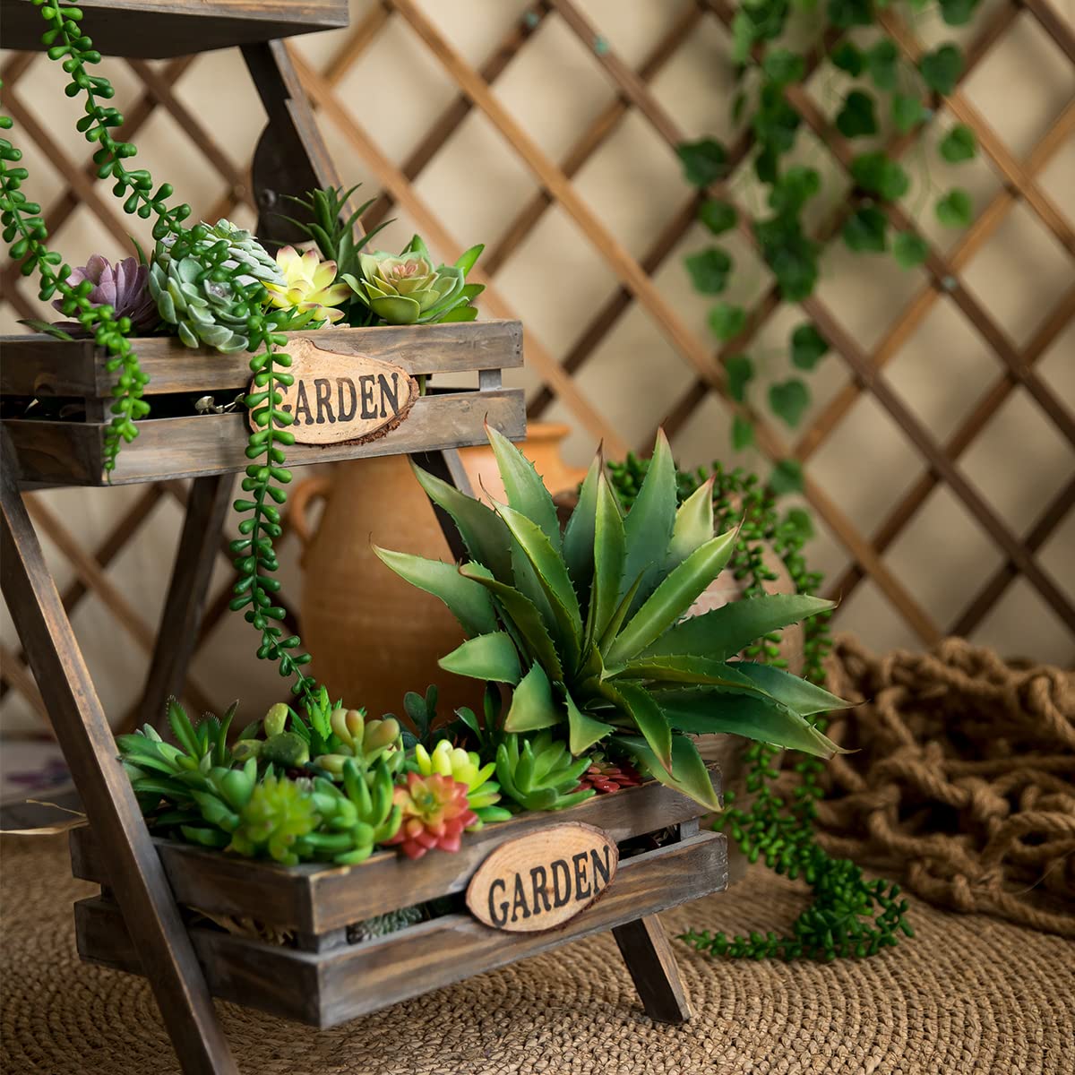 Veryhome succulent plant detail highlighting safe, family-friendly decor.