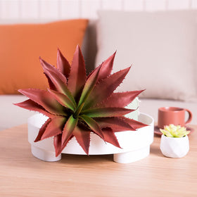 Veryhome succulents in a vase demonstrate versatile décor for shelves or tabletops.
