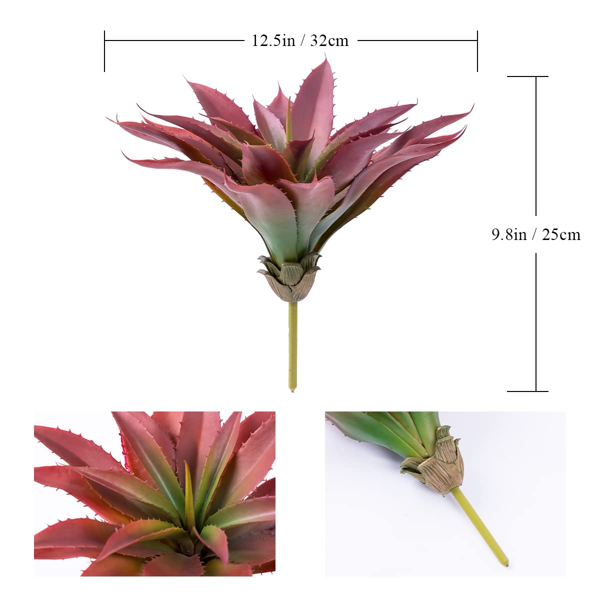 Veryhome unpotted aloe plant for DIY crafts and arrangement ideas.