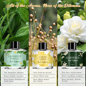 Vetuslumen cashmere vanilla diffuser bottle creates warm ambiance