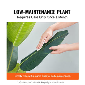 VEVOR Bird of Paradise interior and sheltered outdoor use