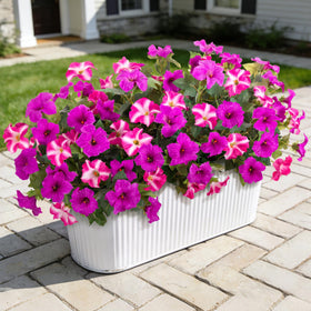 VGNQA artificial petunia flowers outdoor six-stem arrangement for garden color