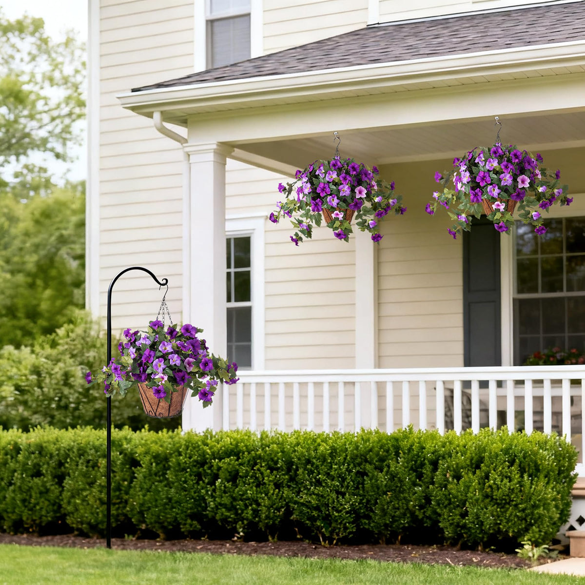 Hanging petunia display on a porch for garden ambiance