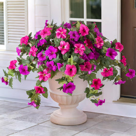 VGNQA artificial petunias closeup bloom in fuchsia for vibrant outdoor display