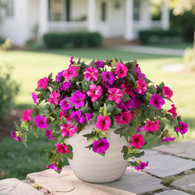 VGNQA packaging note for artificial petunias
