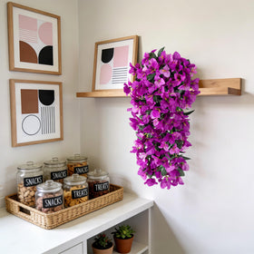 Bougainvillea for front door planters and urns by VGNQA.